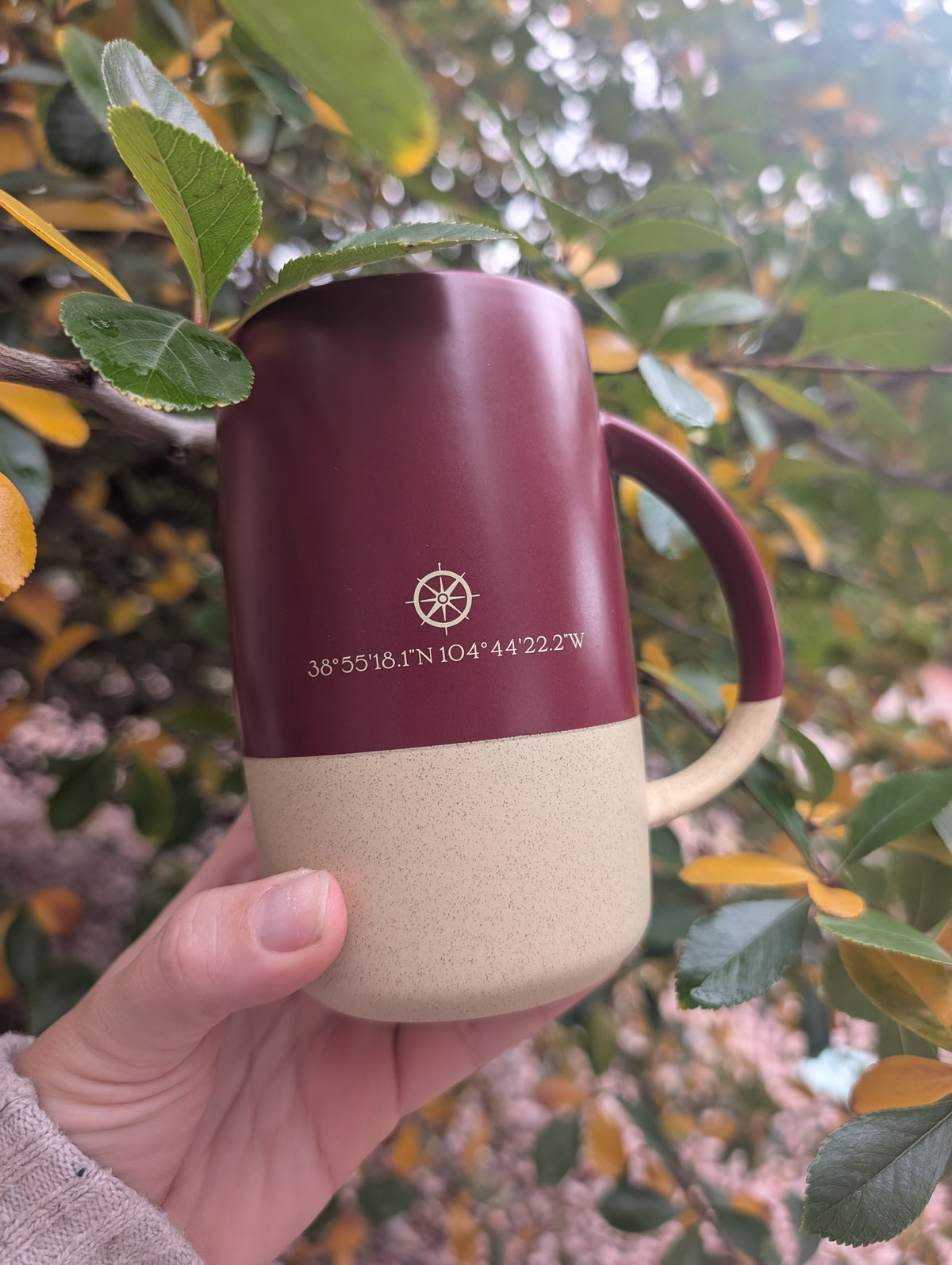 Wayfinder Mug