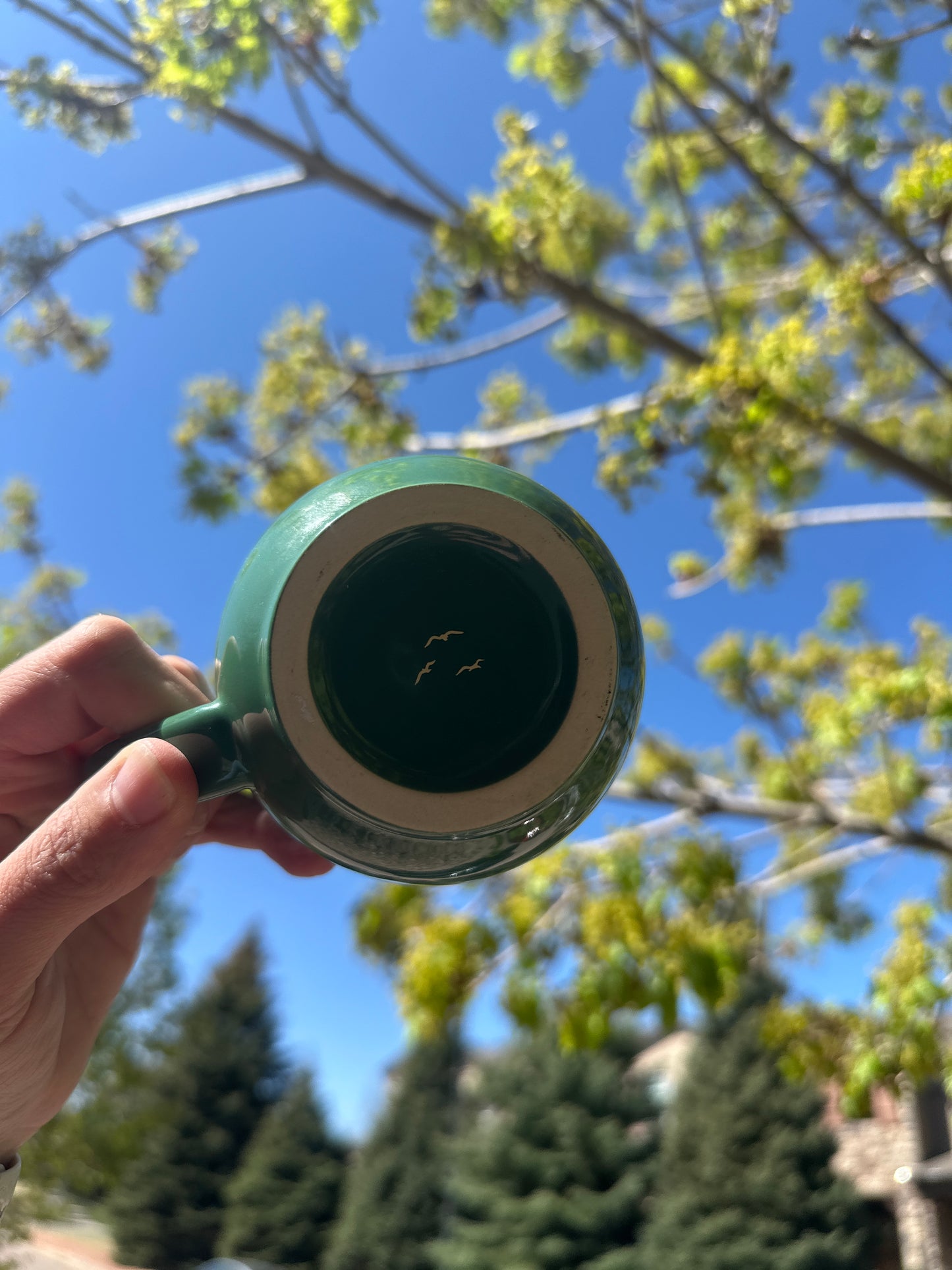 Wayfinder Mug